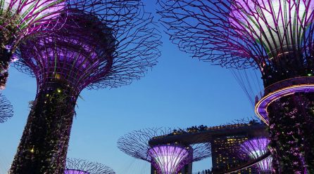 Public Holidays And Long Weekends in 2019 Singapore